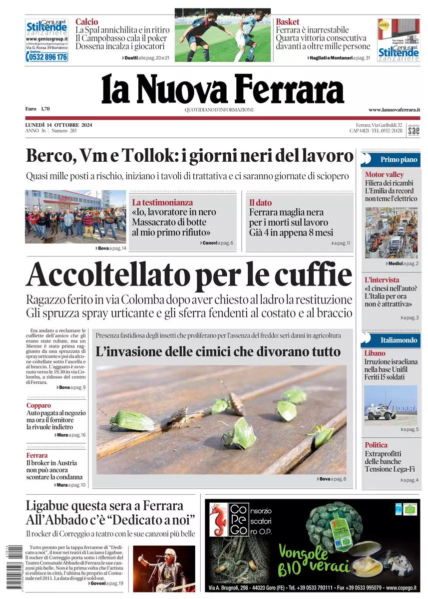 Prima-pagina-nuova ferrara-oggi-edizione-del-2024-10-14